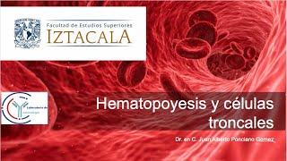 Hematopoyesis y células troncales [upl. by Lupiv]