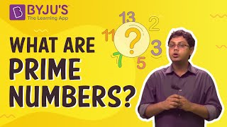 Prime Numbers  Introduction With Examples [upl. by Gert]