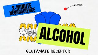 2Minute Neuroscience Alcohol [upl. by Eenaj897]