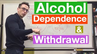 Alcohol Dependence amp Withdrawal [upl. by Nairred794]