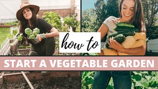 How To Start A Vegetable Garden  Gardening Tips [upl. by Salene]