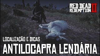 RED DEAD REDEMPTION 2  ABATENDO A ANTILOCAPRA LENDÁRIA LOCALIZAÇÃO E DICAS [upl. by Akkahs106]