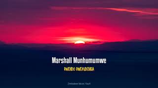 Marshall Munhumumwe  Rwendo Rwekudenga [upl. by Auqenwahs]