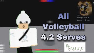 Every Serve in Volleyball 42 Easy to Advanced [upl. by Dore516]