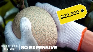 Why Japanese Melons Are So Expensive  So Expensive [upl. by Dygal416]