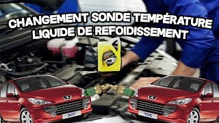 Changer sonde de température deau Peugeot 307 [upl. by Brigham188]