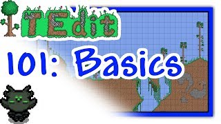 Terraria  TEdit 101 Tutorial  The Basics [upl. by Ahgiel326]