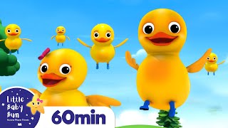 Five Little Ducks More Nursery Rhymes and Kids Songs  Little Baby Bum [upl. by Clementius]