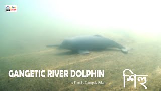 GANGETIC RIVER DOLPHIN A Film By Champak Deka [upl. by Zorana]