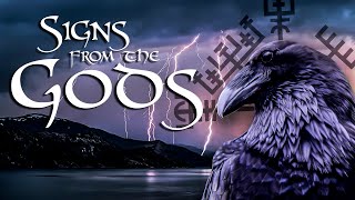 Norse Paganism  How to Interpret Signs from the Gods [upl. by Oeniri]