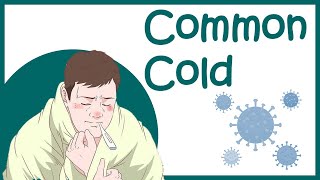 Common cold  Rhinitis amp Rhinovirus  symptomstreatment and recovery [upl. by Ordisi402]