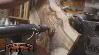 Woodturning  Crotch Wood [upl. by Heller82]