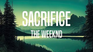 The Weeknd  Sacrifice Lyrics [upl. by Fafa]