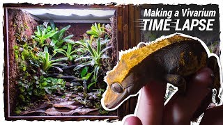 Making a Crested Gecko Vivarium Time Lapse [upl. by Hildick]