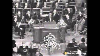 Martin Luther King Jr Nobel Peace Prize Acceptance Speech [upl. by Chiang390]