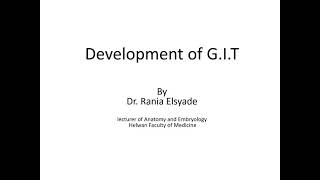 Development of midgut and hindgut [upl. by Udelle36]