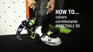 HOW TO … Calzare correttamente MAESTRALE RS [upl. by Atiluap715]