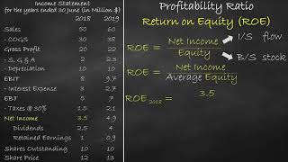 Profitability Ratio  Return on Equity [upl. by Anella]