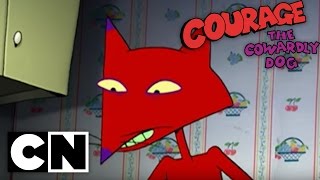 Courage the Cowardly Dog  Katz Kandy [upl. by Burwell]