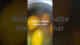 Galgal Ka Achar पहाड़ीlife food minivlog [upl. by Beckerman]