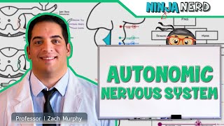 Neurology  Autonomic Nervous System [upl. by Evreh]