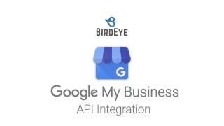 Birdeye Google API [upl. by Ilek]