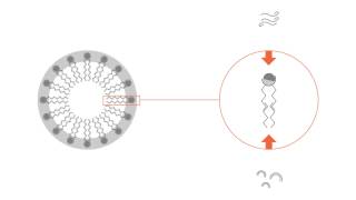 What is a micelle [upl. by Lrad]