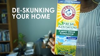 How To Remove Skunk Smell From Your Home [upl. by Fedora]