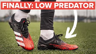 The LOW CUT Predator 201 is amazing  here’s why [upl. by Cadal]