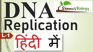 DNA replication in hindi [upl. by Alexandre]