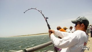 Goliath Grouper Fishing at Sebastian [upl. by Rolland617]