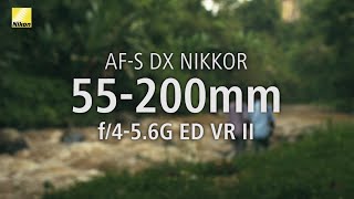 Exploring NIKKOR Lenses Bali with the AFS DX NIKKOR 55200mm f456G ED VR II [upl. by Lugo]