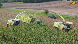 Großeinsatz Mais häckseln 2019  Krone BigX 850 Claas Jaguar 970 farmer corn harvest Maisernte [upl. by Hardej]