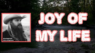 Chris Stapleton  Joy of My Life Lyrics [upl. by Sirrad]