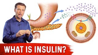 How To Reverse Insulin Resistance – DrBerg [upl. by Llehcear324]