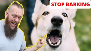 How to Train Your Dog to STOP BARKING at EVERYTHING [upl. by Oknuj]