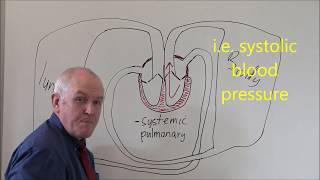 Heart 3 Pulmonary and Systemic circulation [upl. by Sherrard936]