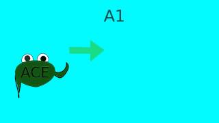 How does lisinopril or ACE inhibitors work [upl. by Justine]