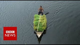 The Floating Farms of Bangladesh  BBC News [upl. by Romano478]