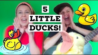 5 Little Ducks Went Out One Day with action lyrics [upl. by North326]