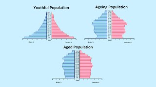 How to Read a Population Pyramid [upl. by Ahsyek434]