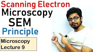 Scanning electron microscope principle working SEM [upl. by Ahtibbat296]