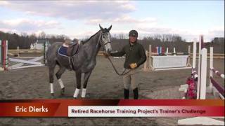 Part 2 of the Retired Race Horse Thoroughbred Training Project with Eric Dierks [upl. by Eniruam]