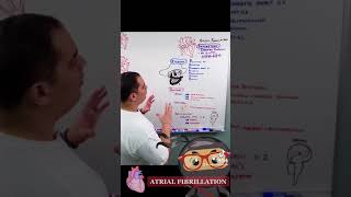 Antihistamines  Mechanism of Action [upl. by Thorpe]