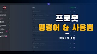 디스코드 프로봇 Pro봇 사용법 amp 명령어 [upl. by Rayle]