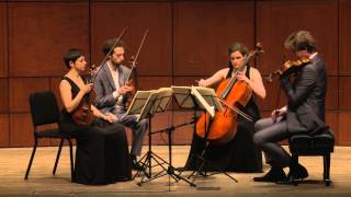 Beethoven String Quartet Op 132 in A Minor  Ariel Quartet full [upl. by Eibor]