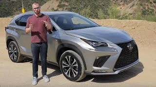 2020 Lexus NX 300 F Sport Test Drive Video Review [upl. by Yrekcaz924]