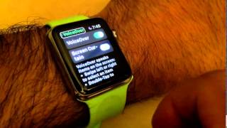 VoiceOver on Apple Watch [upl. by Barabbas]