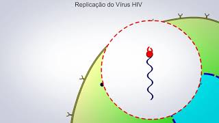 A Replicação do HIV [upl. by Bonneau]