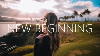 SkHall amp Ludwiig  New Beginning Lyrics Alan Walker Style [upl. by Atilrahc797]